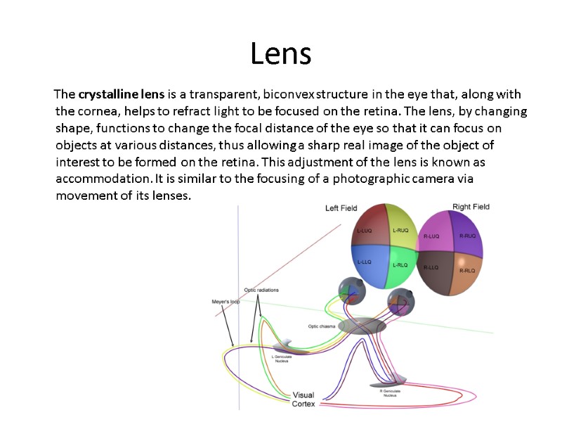 Lens       The crystalline lens is a transparent, biconvex